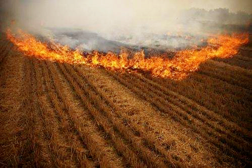 熊良虎赴京考察德国迪芬巴赫公司、、、ESATPOINT GLOBAL公司生态环保板材装备工艺