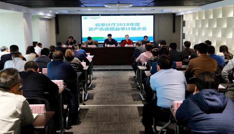 省审计厅对南宫NG28集团集团2018年度资产欠债损益审计撤点会召开