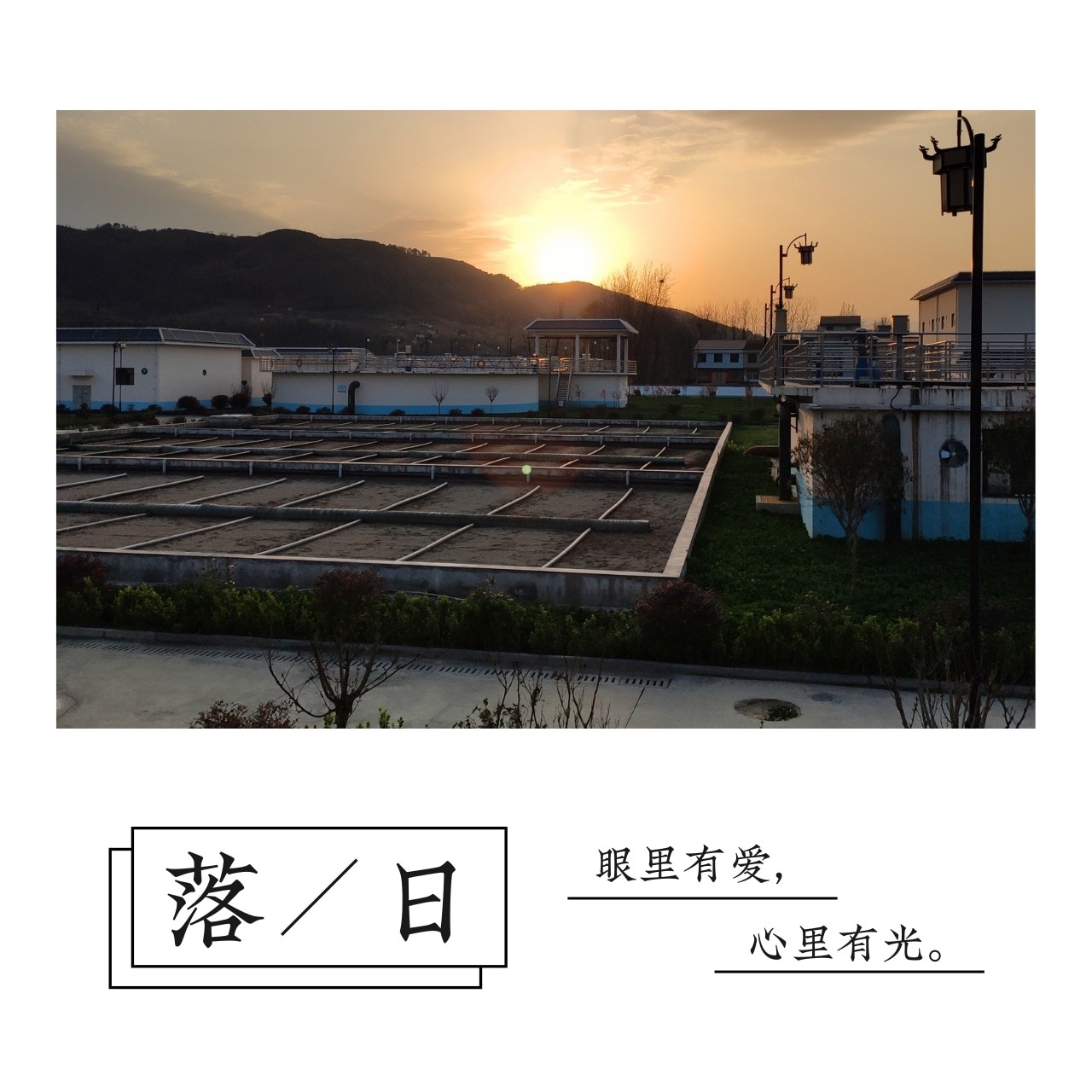 “绿满厂区春意浓”摄影作品征集活动部分作品展示（一）