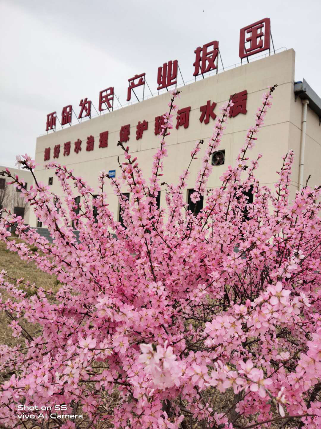 “绿满厂区春意浓”摄影作品征集活动部分作品展示（二）