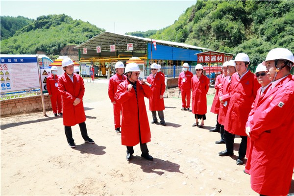 南宫NG28集团集团复工复产促增添项目观摩聚会与会职员走进环保保隆生态三秦在延在铜项目