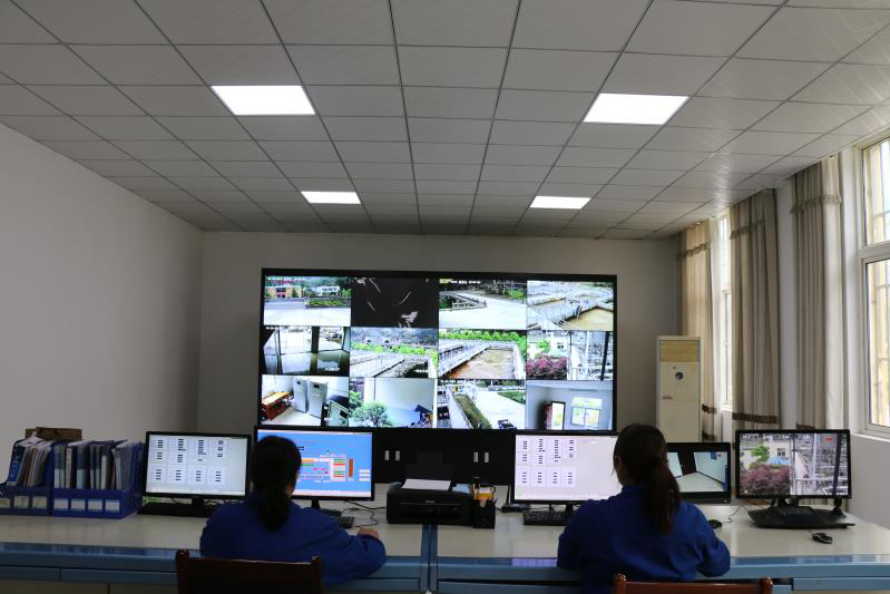 这个端午节，，水情形人这么过（二）