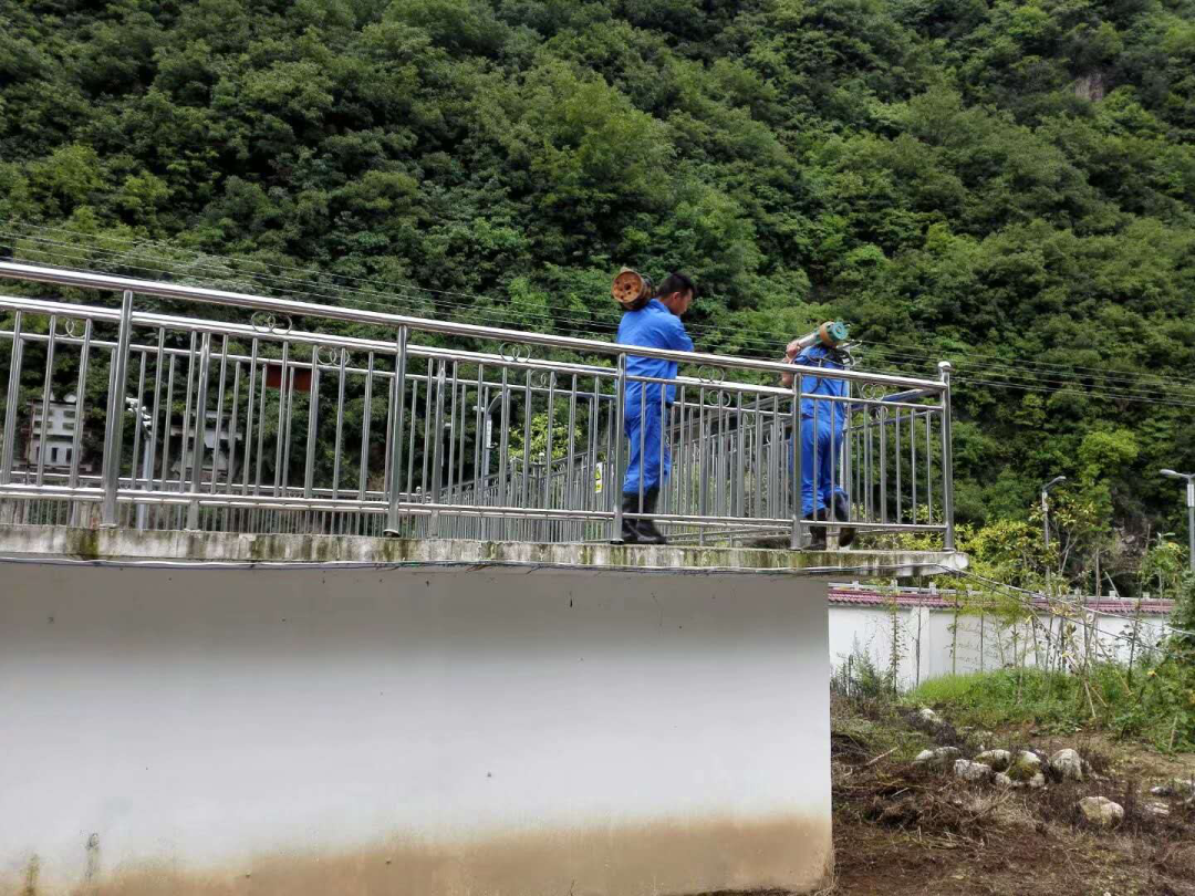 这个端午节，，水情形人这么过（二）