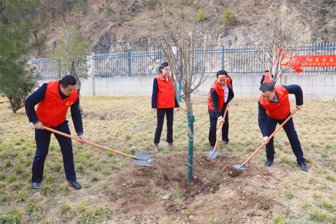 根系青春·植此青绿｜南宫NG28集团集团团委开展义务植树自愿活动